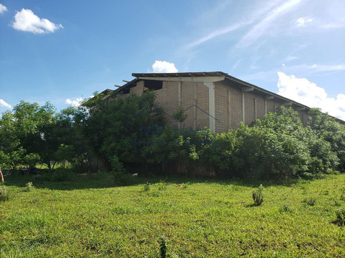 Imagem 12 de 16 de Galpão, Distrito Industrial, Pirassununga, Cod: 10131919 - A10131919