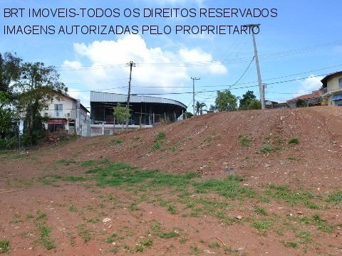 Imagem 16 de 20 de Terreno - Te00064 - 3510854