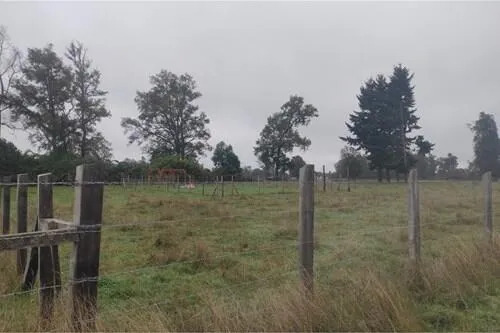 Su Parcela De Descanso A 30 Min Del Lago Ranco