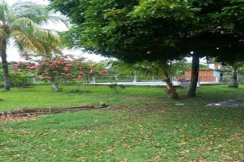 Imagen 11 de 14 de Zch Asein P1447 Vende Mini-finca En El Sector El Encanto En Tocuyito.municipio Libertador. Estado Carabobo