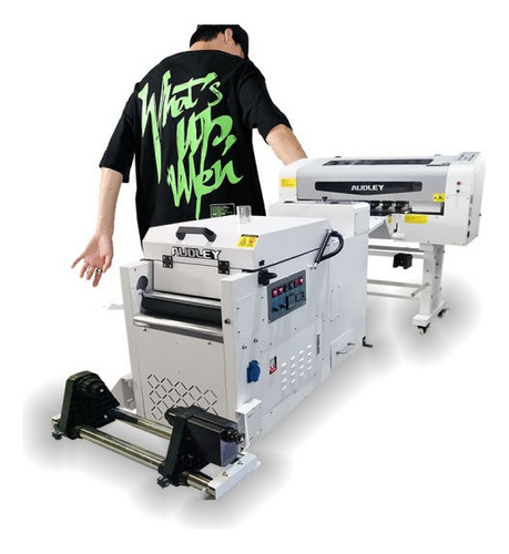 Maquina Dtf De Impresión Textil 30cm Tesh Japan 