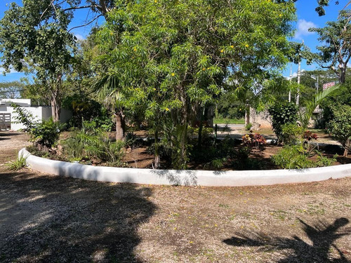 Casa En Renta Con Extenso Terreno Ideal Para Negocio Con Amplia Palapa