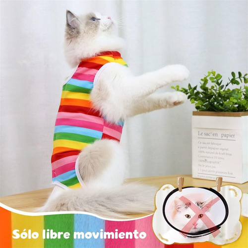 3 Pcs Traje De Recuperación Para Gatostranspirable Trajes