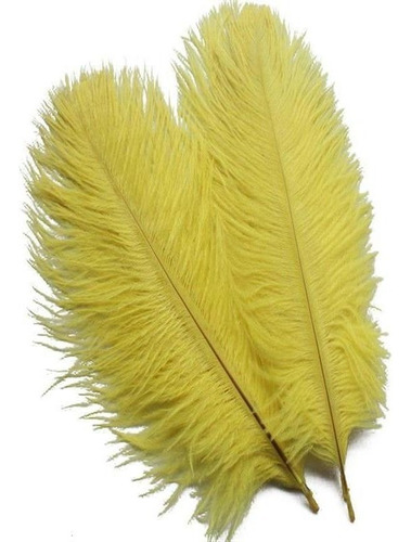 50 Unids/lote Plumas De Avestruz Naturales 15 Cm-20 Cm Fiest