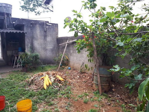 Imagem 5 de 8 de Terreno Com Salão Em Perus - 9849