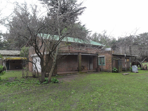 Imagen 7 de 30 de Latorre Prop Vende Campo De 4 Hectareas,cerca De La Ruta 11,del Mar Y Playas,varios Usos,hermosa Arboleda
