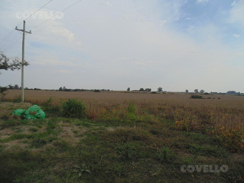 Imagen 10 de 11 de Campo En Martin Chico, Buena Tierra Productiva, Zona En Desarrollo