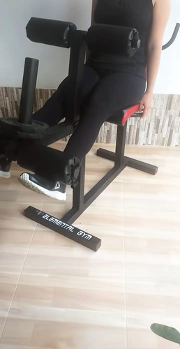 Maquina De Cuadriceps Y Femorales (2 En 1)