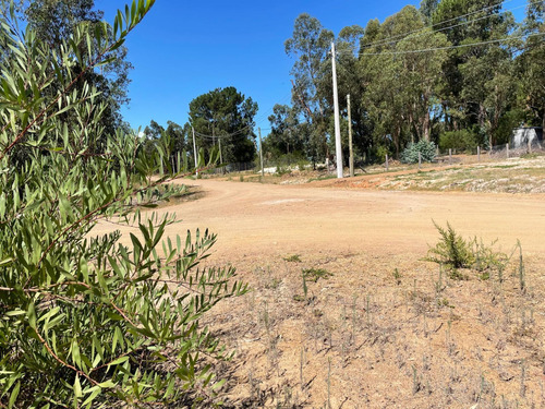 Terreno En Venta - 1.020mts2 - Canelones, Uruguay