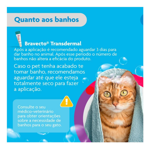 Combo 2 Bravecto Plus Gatos Transdermal 2,8 A 6,25kg 250mg Branco