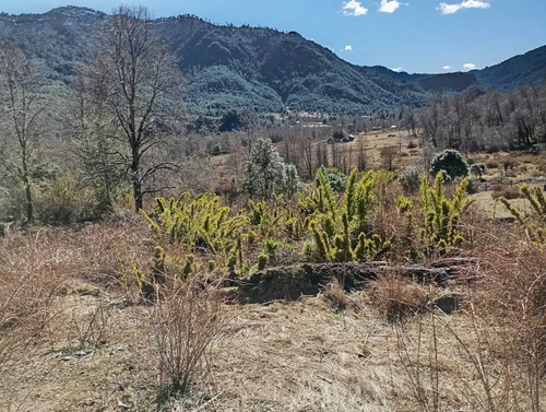 Venta Parcela Panqui (174090)