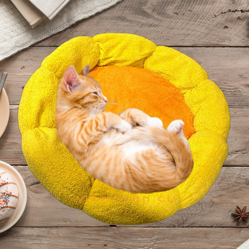 Cama Elevada Para Perro Gatos Camas De Perro Mascotas Xl