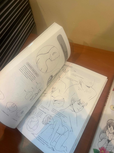 Libros Como Dibujar Manga 2 Tomos (Usado)