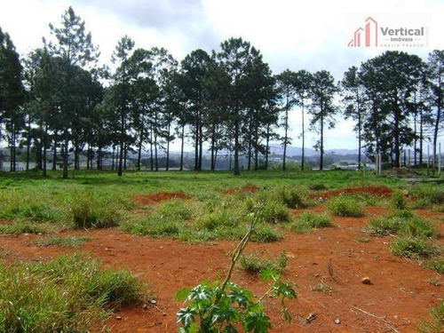 Terreno A Venda, 10.909,79 M² Por R$ 9.273.321 - Parque Nossa Senhora Das Graças - Itaquaquecetuba/sp - Te0389