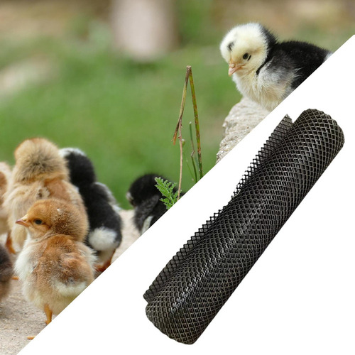Rede De Arame Para Frango Projetos Diy Aves