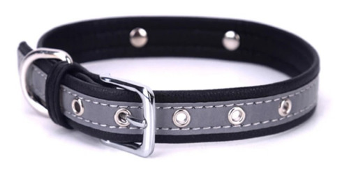 Collar Para Perro Diseño Nylon Ecocuero Reflectante Premium