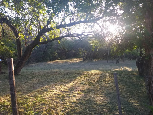 Imagen 1 de 4 de Vendo Terreno De 1003 M2 Zona Muy Tranquila Y Hermosa Arbole