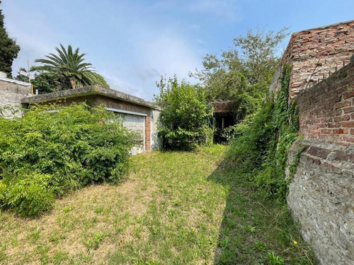Imagen 13 de 15 de Venta Lote Punta Chica 412m2 - Vito Dumas