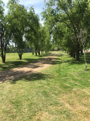 Imagen 10 de 14 de Terreno En Venta En Posadas De Los Lagos