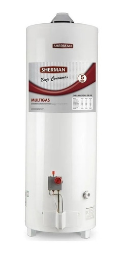 Termotanque Sherman Multigas 80 Litros Pie Superior Tpgp080