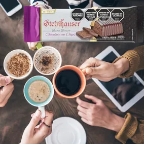 Budin Premium Steinhauser Chips De Chocolate Bañado 250 G