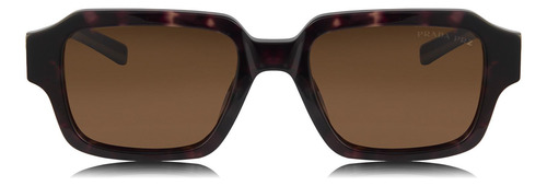 Prada Spr 02zs 2au-01d Square Shape Tortoise Polarized (Usado)