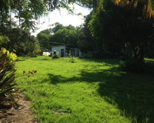 Imagem 21 de 22 de Terreno - Pk399 - 32011838