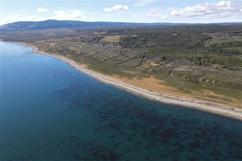 Imagen 10 de 15 de Agrícola En Venta En Punta Arenas