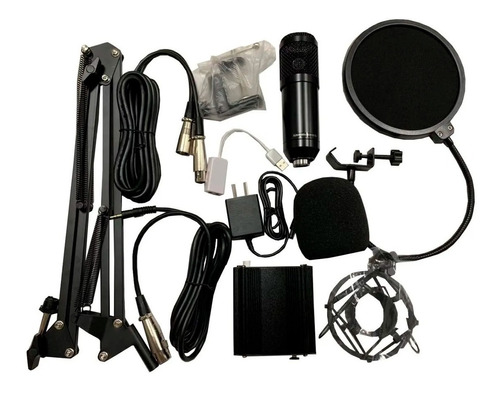 Gbr Set Microfono Condenser Fuente Phantom Usb Brazo Cable 