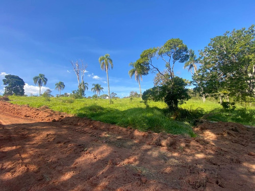Imagem 20 de 30 de L30- Lotes Barato