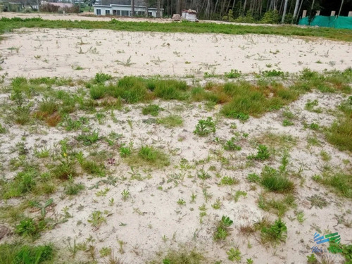 Imagen 6 de 6 de Terreno Nivelado En Verde Mora 1300m2 - Punta Ballena Punta Ballena