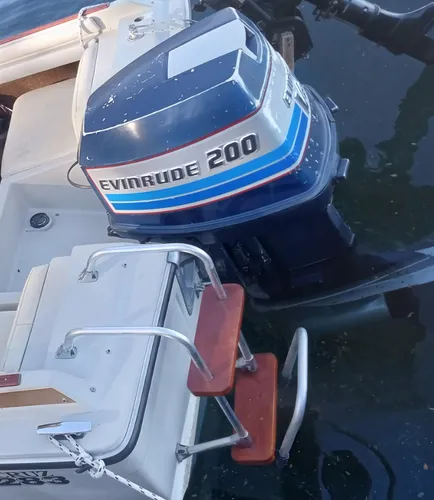 Motor Fuera De Borda Evinrude