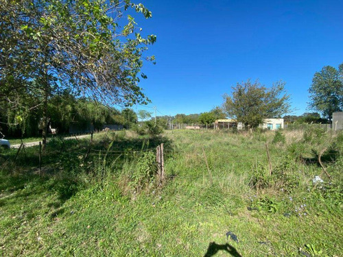 Excelente Lote En Venta. Calle Alberti Esq. La Victoria. Partido De Brandsen. Bs.as