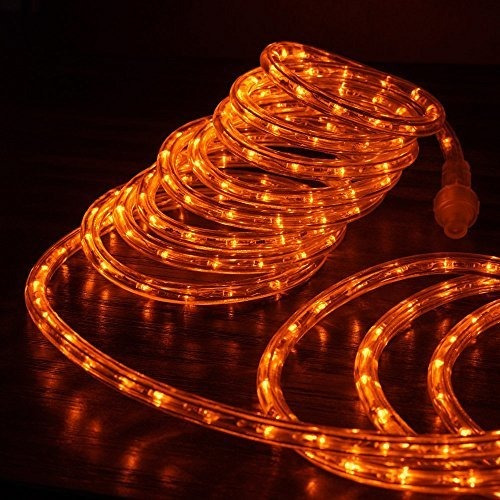 West Ivory (25' Pies) Orange Led Rope Lights 2 Wire 1r4bz