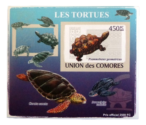 Comores Fauna, Bloque 1 Sello Tortugas 450fc 09 Mint L9319