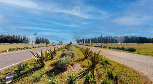 Terreno Lote En Venta En Pinamar, Costa Atlántica, Buenos Aires