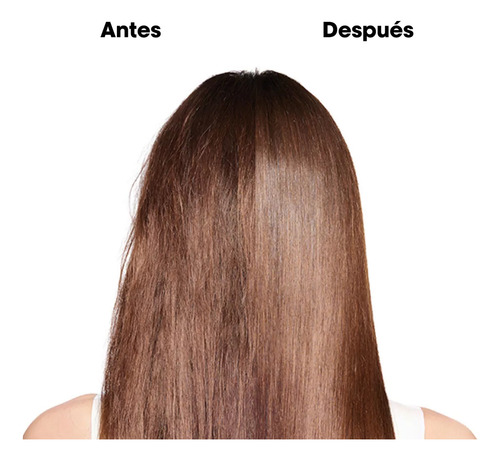 Loreal Absolut Repair Molecular Shampoo Capilar 1500ml Cs