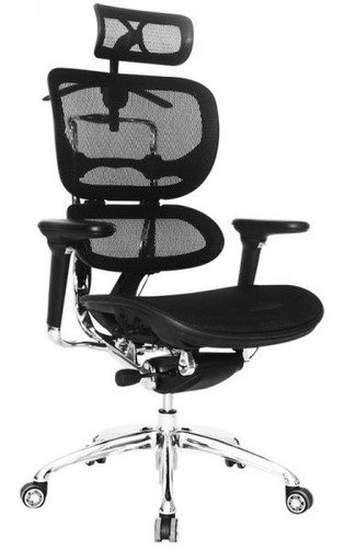 Silla Presidencial Malla Premium Automatica Ergohuman Negra