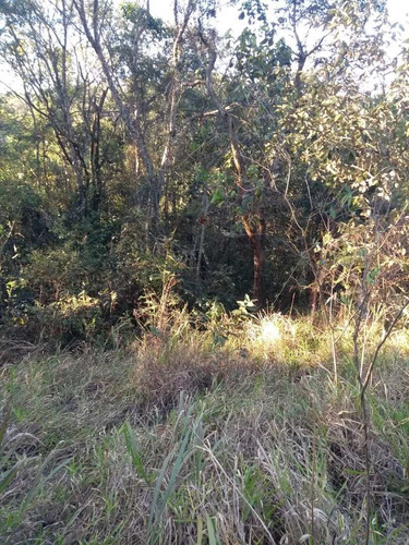 Imagem 4 de 5 de Terreno, Chácara Jaguari (fazendinha), Santana De Parnaíba - R$ 120 Mil, Cod: 235561 - V235561