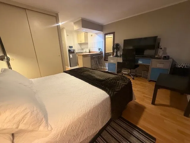 Imagen 5 de 17 de Departamento En Arriendo De 1 Dorm. En Santiago