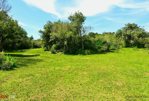 Imagen 13 de 30 de Venta Hotel De Campo 3 Hectáreas Con Vista Cw170564