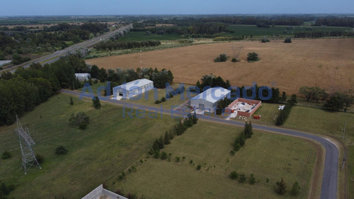 Terreno En Parque Industrial Ecológico De La Cruz - 5289 M2 - Venta