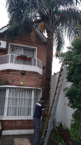 Imagen 8 de 9 de Poda Y Extracción De Árboles