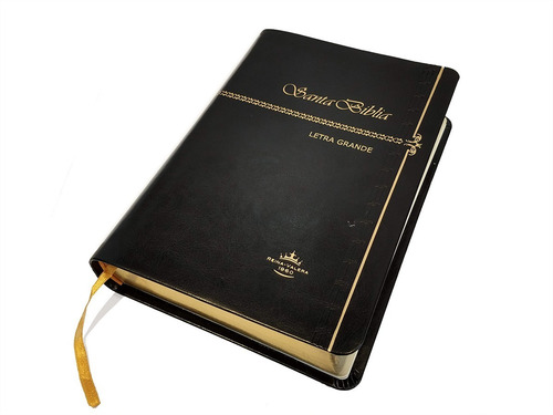 Biblia Grande Letra Grande Negra Tiara Reina Valera 1960
