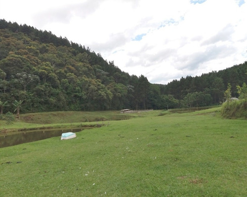 Imagem 10 de 30 de Fazenda Bem Localizada À Venda Em Juquitiba. - 15 - 32982853