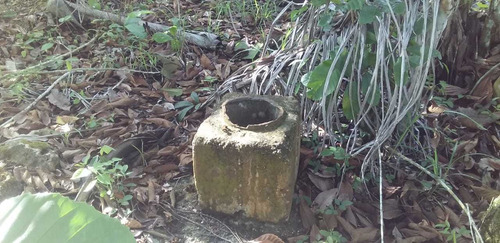 Te Vendo Excelente Finca En Estilado De Monte Plata