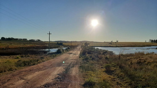 Imagen 3 de 8 de Chacra De 5 Hectáreas A Metros De La Laguna Del Sauce, Ruta 9