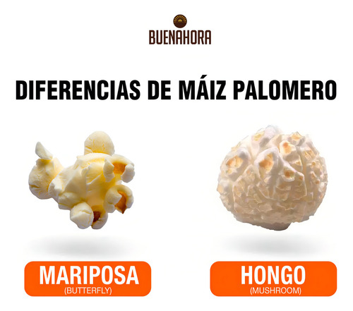 Maíz Palomero Hongo Bulto Calidad Premium 22.68kg