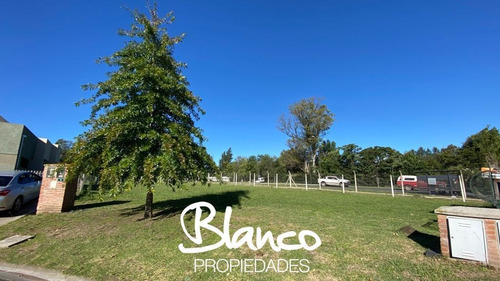 Imagen 1 de 11 de Oportunidad! Gran Lote De 785 Metros En Pilar Del Este - Santa Guadalupe