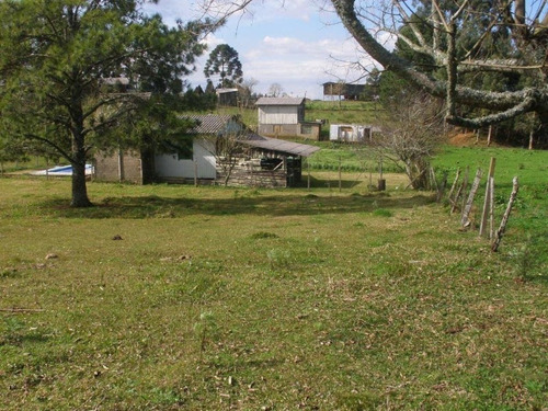 Imagem 3 de 5 de Terreno - Apanhador - Ref: 4810 - V-4810